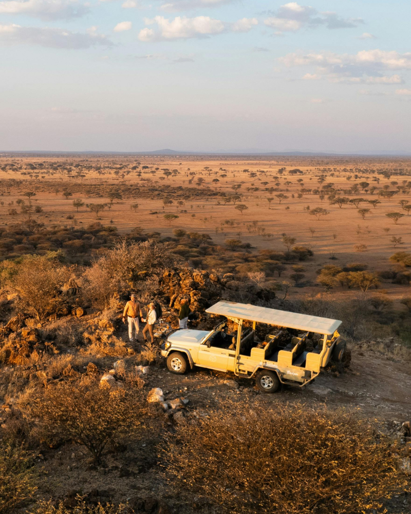 Safari — Atlas Atelier