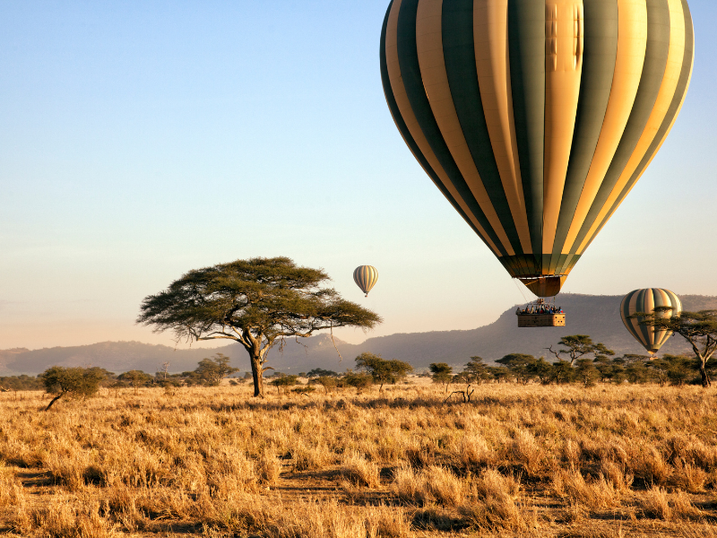 Serengeti Sole